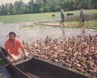 aardram-1