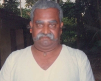 aardram-14