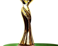 best-actor-award-thimiram
