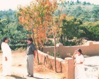innale8